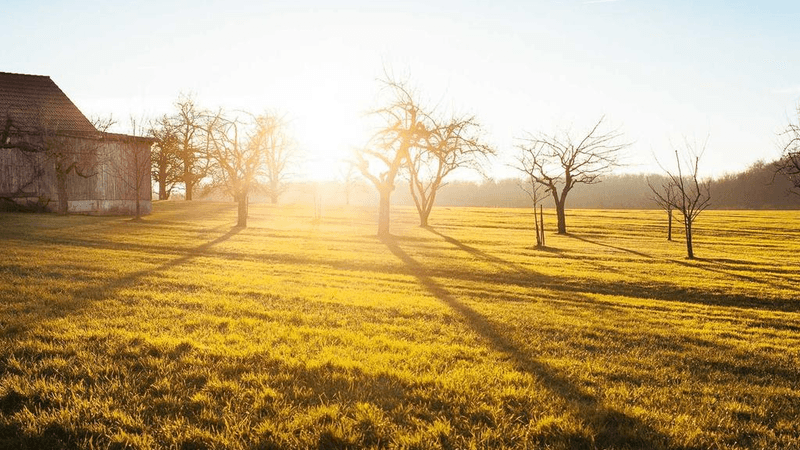 Abs - professional stock photography