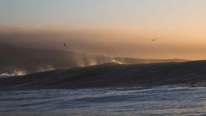 Abs - professional stock photography