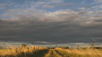 Abs - professional stock photography