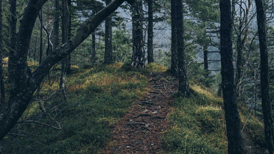 Cardio - professional stock photography