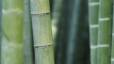 Cycling - professional stock photography
