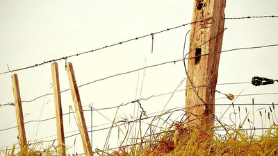 Cycling - professional stock photography