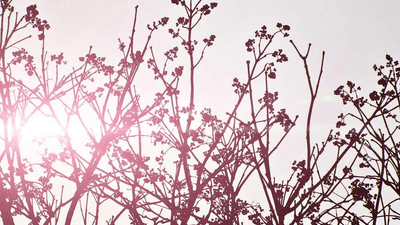 Cycling - professional stock photography