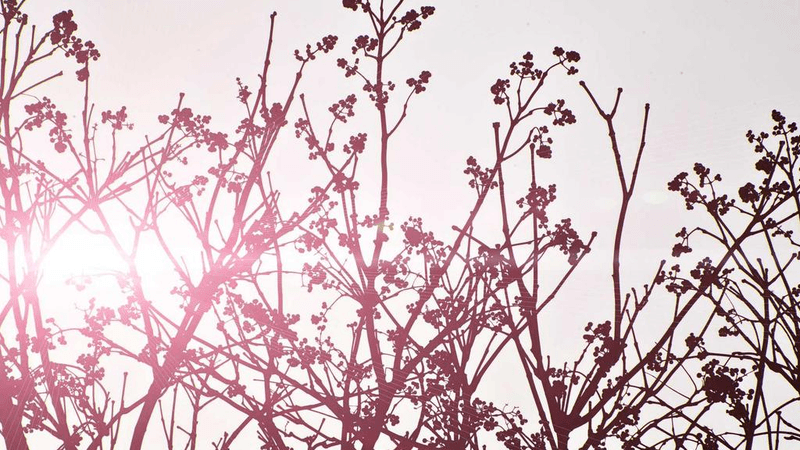 Cycling - professional stock photography