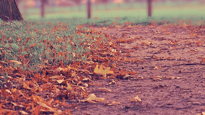 Deadlift - professional stock photography