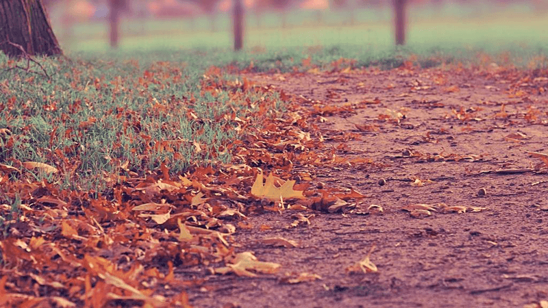 Deadlift - professional stock photography