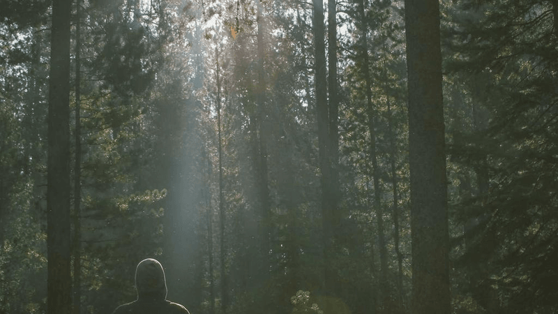 Kettlebell - professional stock photography
