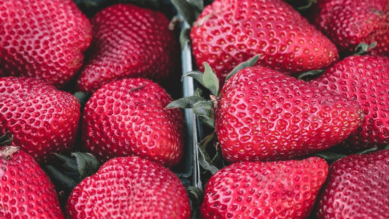 Kettlebell - professional stock photography