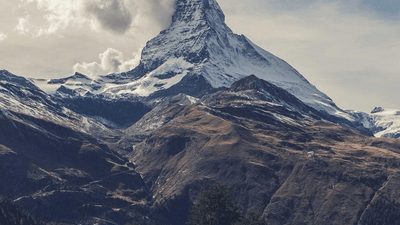 Plank - professional stock photography