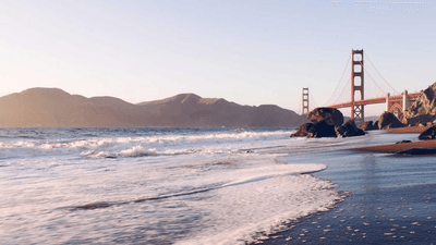 Plank - professional stock photography