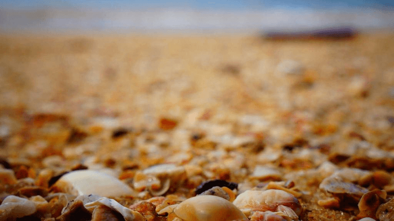 Plank - professional stock photography