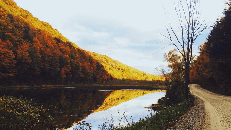 Pushup - professional stock photography