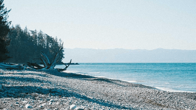 Pushup - professional stock photography