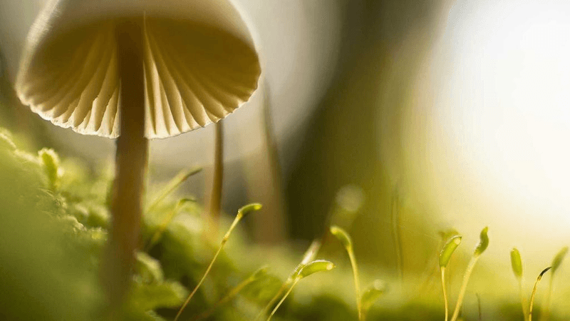 Running - professional stock photography