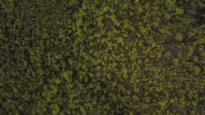 Running - professional stock photography