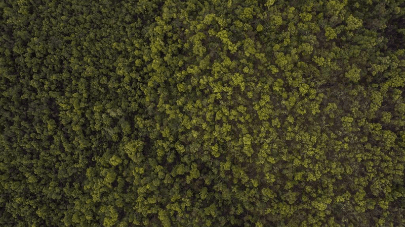 Running - professional stock photography