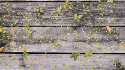 Running - professional stock photography