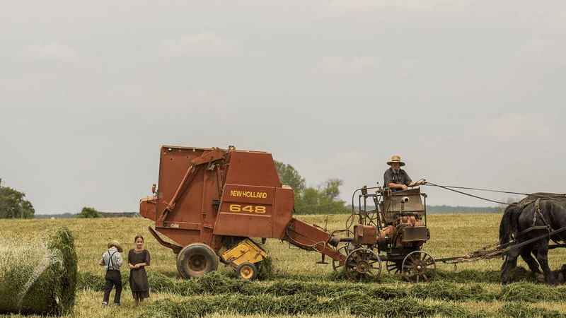 Running - professional stock photography
