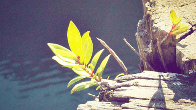 Running - professional stock photography