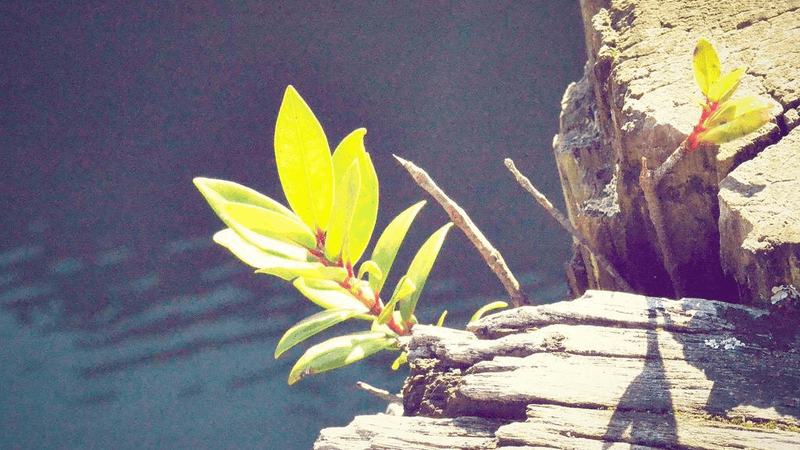 Running - professional stock photography