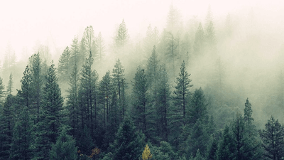 Squat - professional stock photography