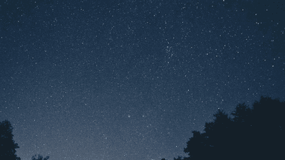 Swimming - professional stock photography