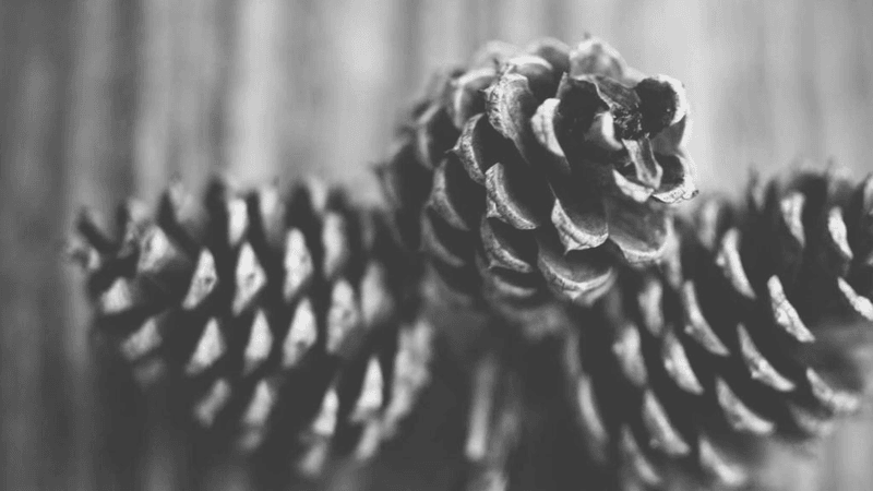 Treadmill - professional stock photography