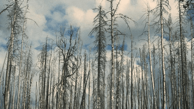 Yoga - professional stock photography
