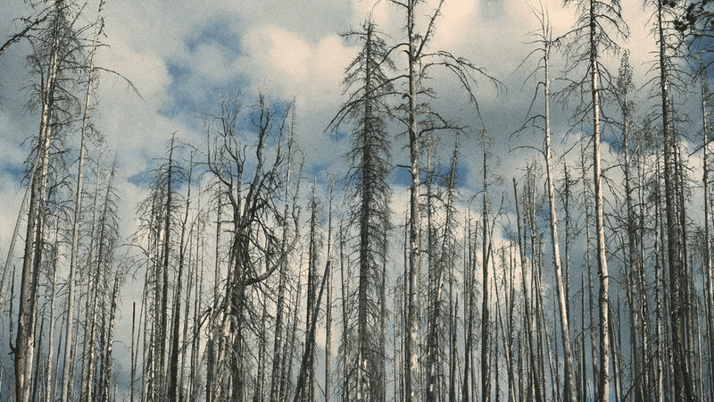 Yoga - professional stock photography