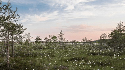 Yoga - professional stock photography